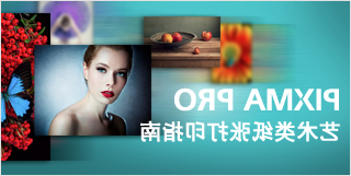 艺术类纸张打印指�?
                  style=